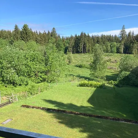 Hahnenklee Charme - Moderne Neue Mit 2 Balkons *