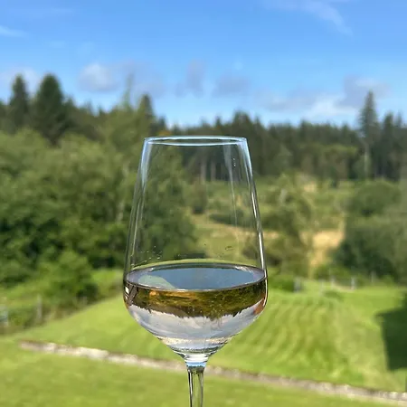 Hahnenklee Charme - Moderne Neue Mit 2 Balkons Daire