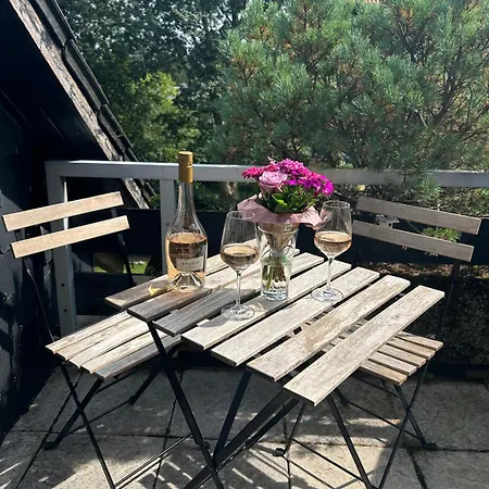 Hahnenklee Charme - Moderne Neue Mit 2 Balkons * Goslar