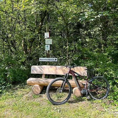 Hahnenklee Charme - Moderne Neue Mit 2 Balkons Daire Goslar