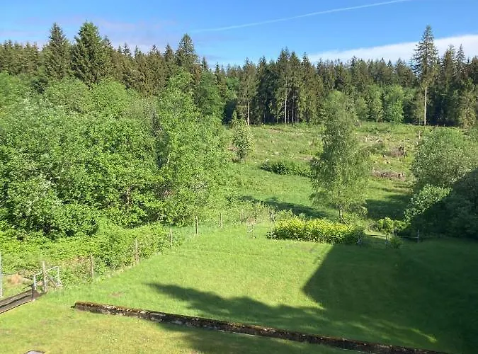 Hahnenklee Charme - Moderne Neue Mit 2 Balkons *