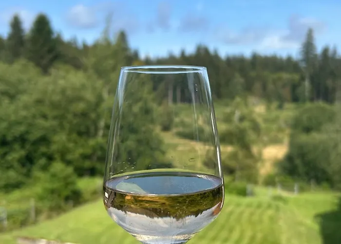 Hahnenklee Charme - Moderne Neue Mit 2 Balkons Daire